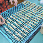 ペイント準備作業中の主台車枠。 ペイント準備作業中の主台車枠。