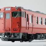 1-2位側前頭部。 1-2位側前頭部。